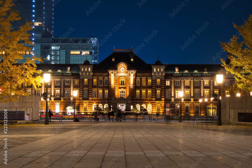 黄葉のイチョウと東京駅の夜景