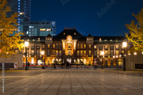 黄葉のイチョウと東京駅の夜景