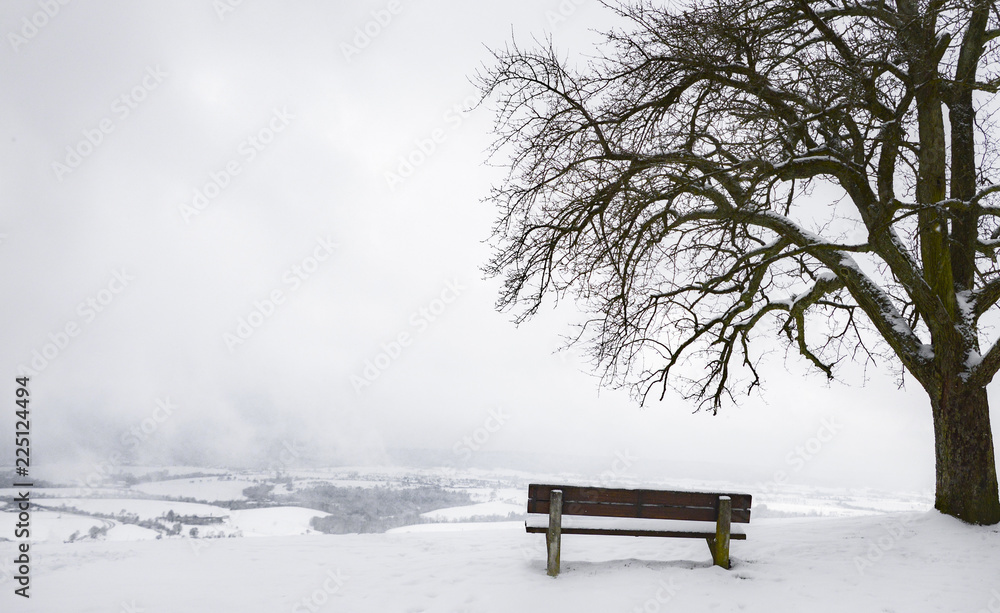 Wooden bench and tree on a snowy hilltop