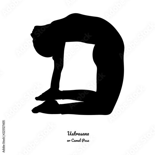 Ustrasana or Camel Pose. Vector.	