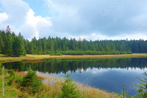Crno jezero or Black lake is a lake on the top of the mountain, dark colored water and vibrat green grass, surrounded with trees, Pohorje, Slovenia