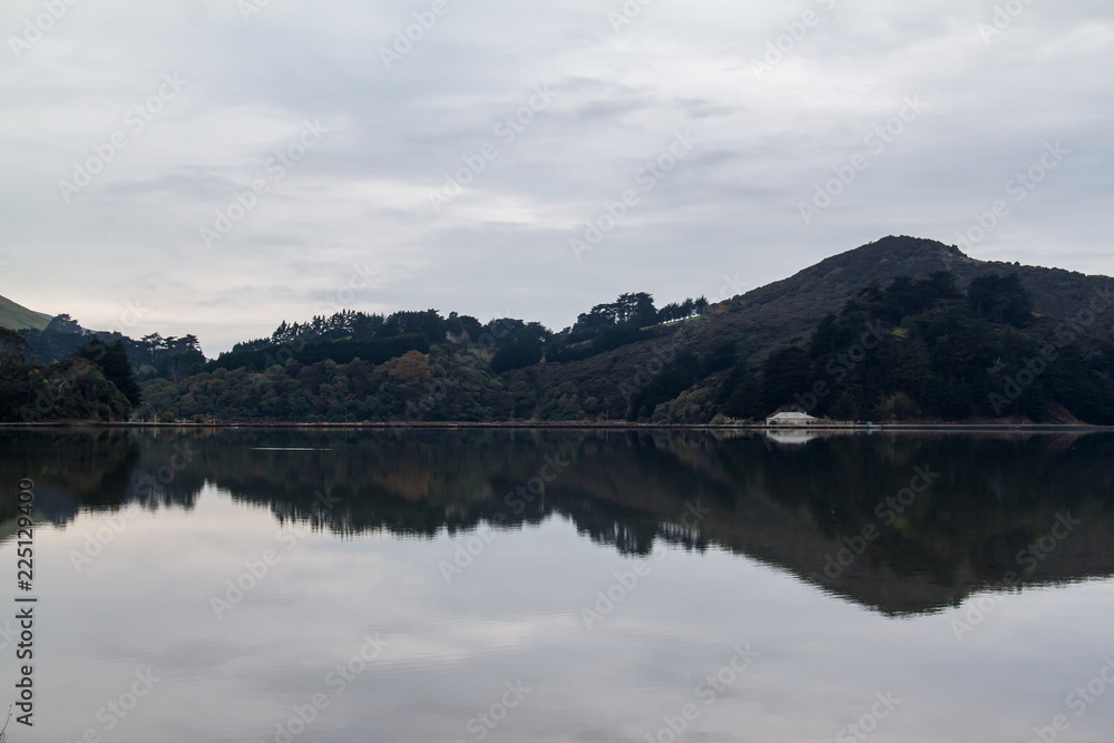 Forest & moody sky reflection