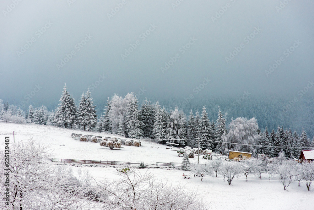 Obraz premium Winter countryside landscape