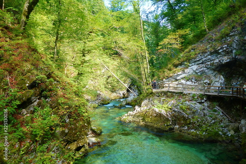 Vintgar gorge with wooden walkway and river Radovna flowing through it near to Bled lake, Slovenia