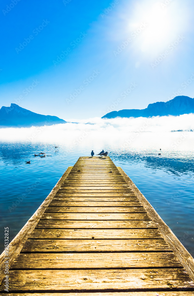 Fototapeta premium Foggy mountain landscape with seagulls on Pier of lake Mondsee in Austria
