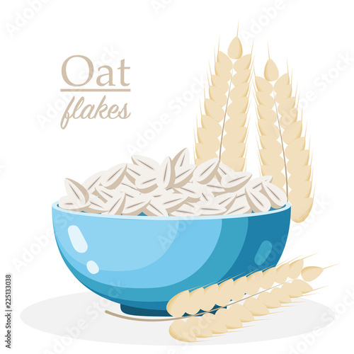 Oat flakes breakfast plate