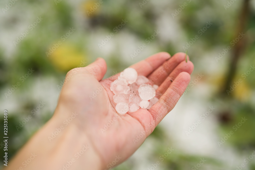 closeup male hand holding hailstones after hailstorm closeup male hand holding hailstones after hailstorm
