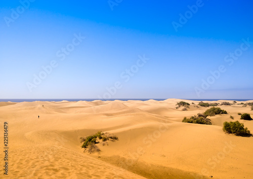 Fototapeta Naklejka Na Ścianę i Meble -  general view of sand dunes in desert of Maspalomas with the sea at the end