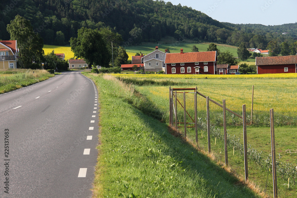 Obraz premium Marking road over forest at countryside