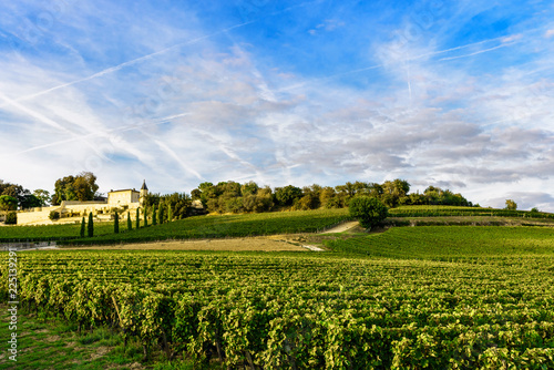 Vineyards of Saint Emilion  Bordeaux Wineyards in France