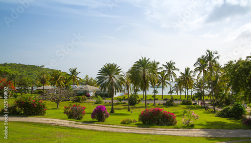 Antigua. Caribbean Islands. Panoramic view on palm park by the Free man's bay and beach.
