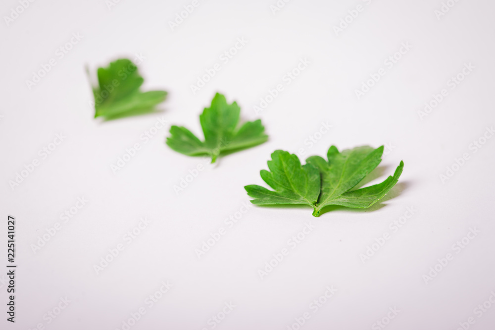 Green parsley Green parsley