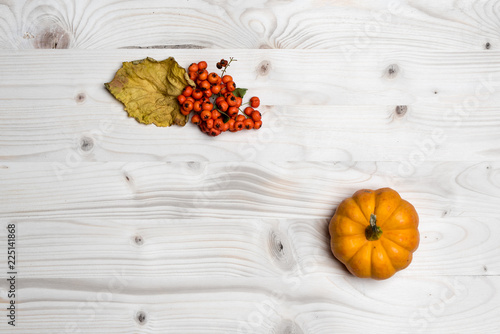 autumn, rowan and pumpkins on white, rustic, wooden backgroundm, top view