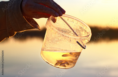 Obraz na płótnie Small live minnows as a nozzle for catching predatory fish w salonie