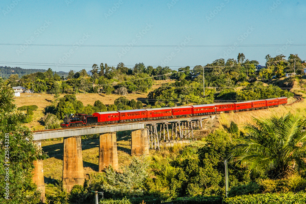 Fototapeta premium Train