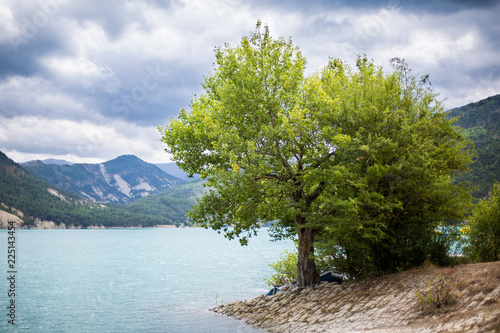 Baum am See