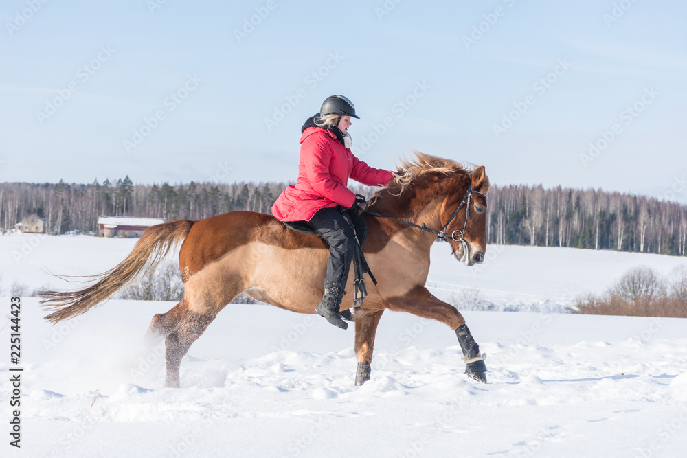 Obraz premium Woman on a galloping horse during winter.