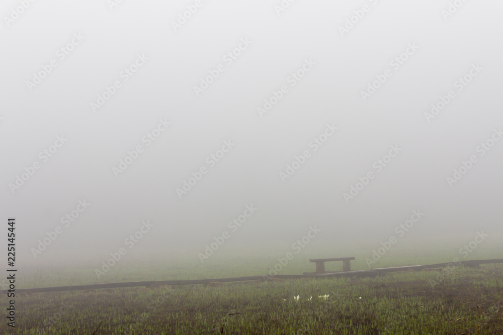 霧の沼の原湿原／長野県飯山市