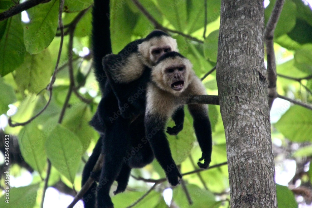 Obraz premium Costa Rica