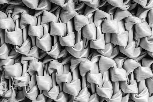 Wicker birch-bark lines, weaving abstract texture background