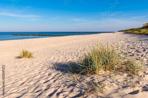 Grass  white sand and beautiful beach. Baltic Sea. Poland