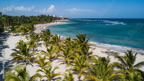 Juan Dolio Dominican Republic Palms at Beach blue water 