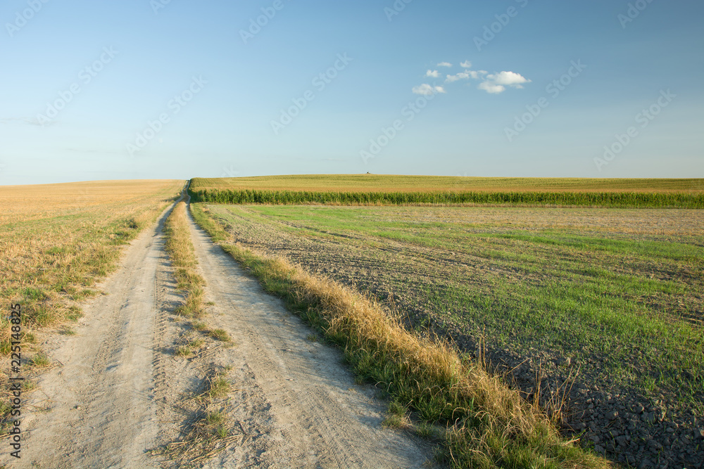 Long country road through fields