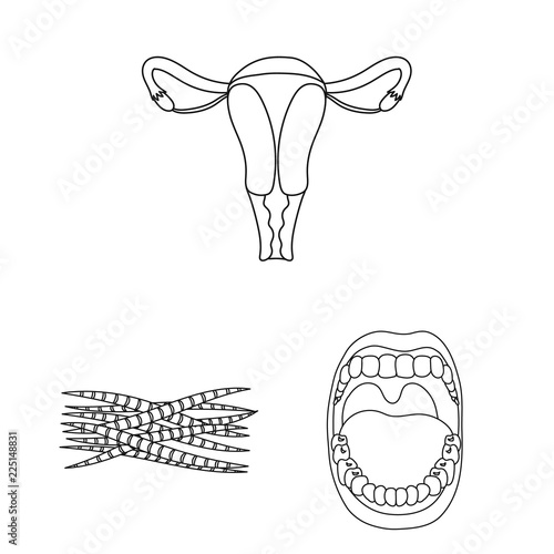 Internal organs of a human outline icons in set collection for design. Anatomy and medicine vector symbol stock web illustration.