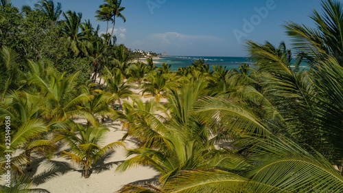Juan Dolio Dominican RepublicA stunning Caribbean beach scene featuring towering palm trees swaying gently in the warm tropical breeze. The aerial shoot captures the breathtaking contrast between the 
