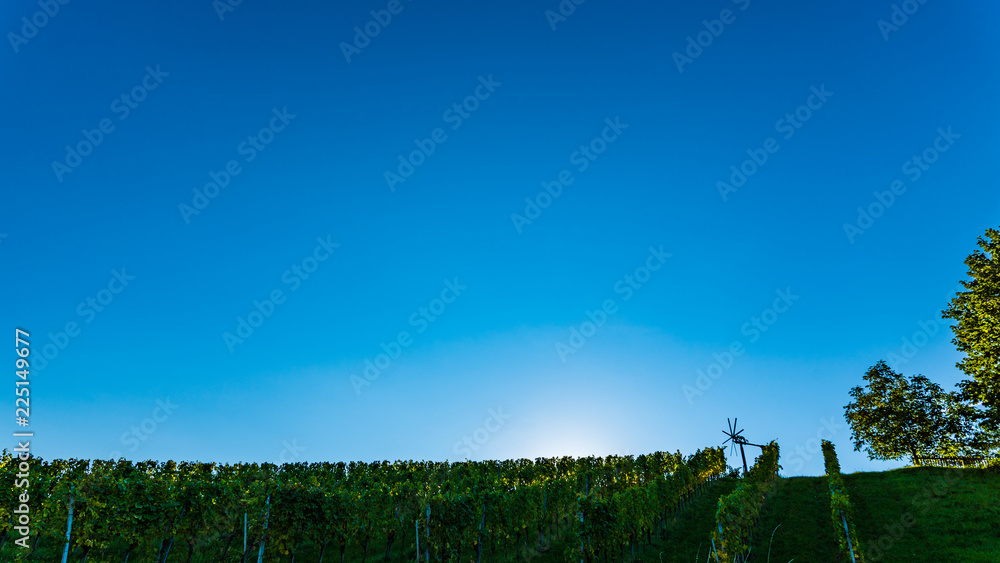 Fototapeta premium Austria Vineyards Sulztal wine street area south Styria , wine country. Tourist destination