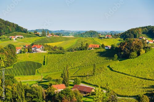 Austria Vineyards Sulztal wine street area south Styria   wine country. Tourist destination