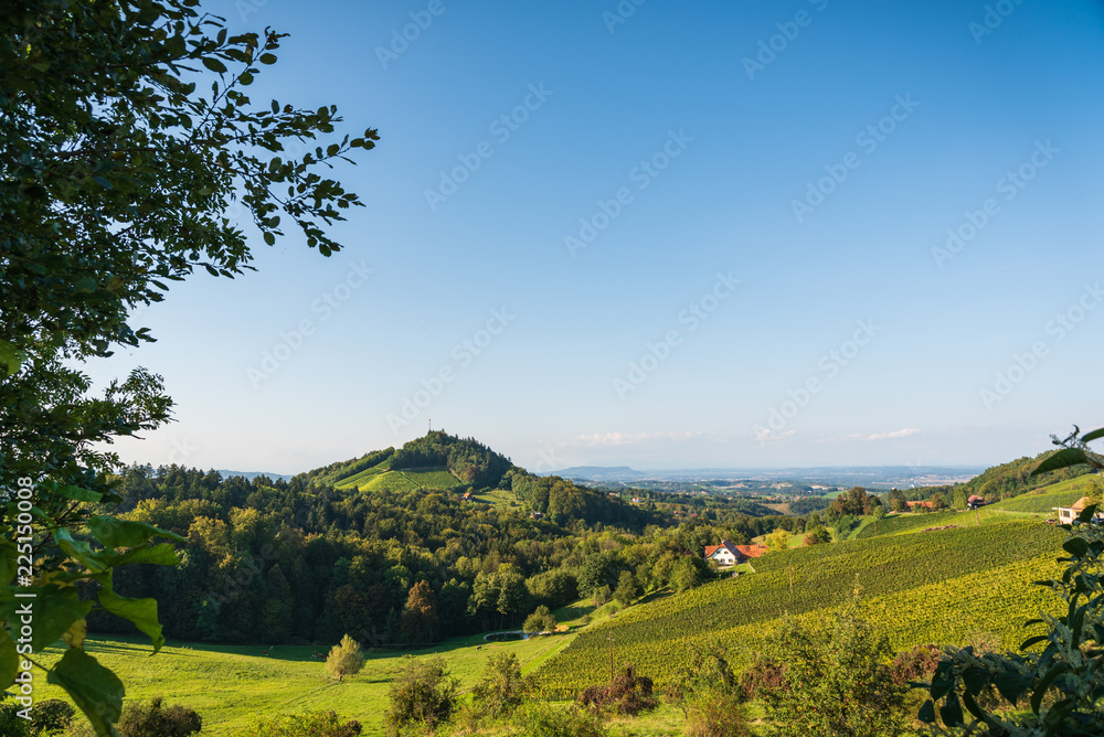 Obraz premium Austria Vineyards Sulztal wine street area south Styria , wine country. Tourist destination