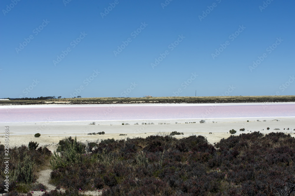 Pink salt lake between Hyden and Albany, WA, Australia