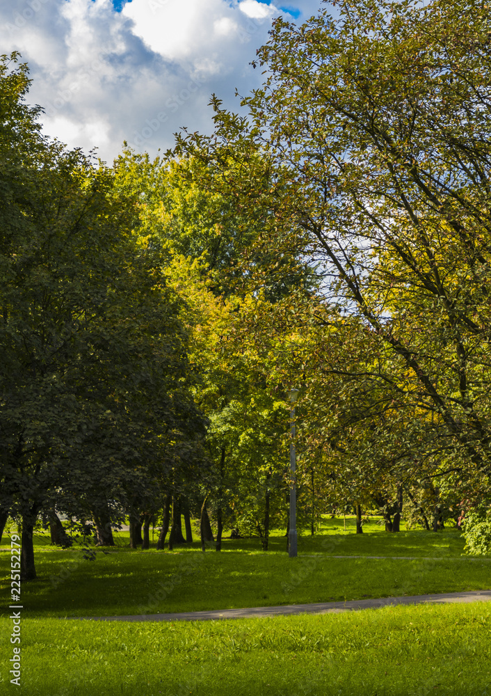 Naklejka premium Złota polska jesień. Kolory jesieni. Kraków. Polska