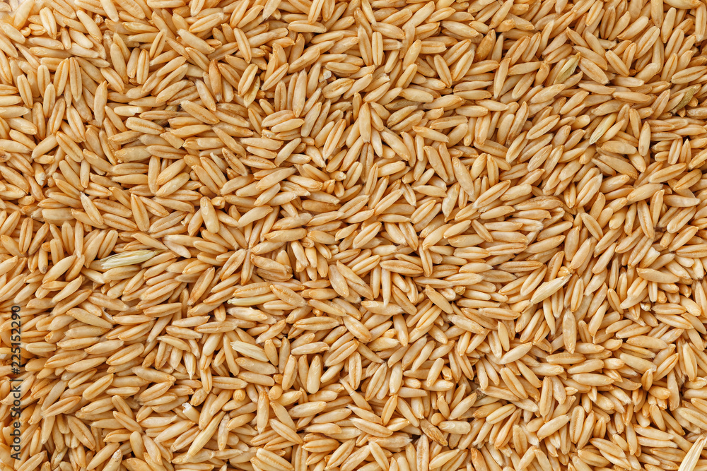 natural oat grains background, close up. Gold grain. natural oat grains background, close up. Gold grain.