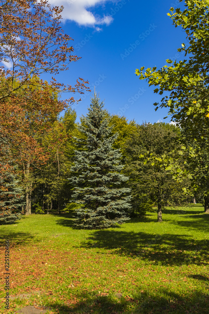 Naklejka premium Golden Polish autumn. Autumn colors. Cracow. Poland