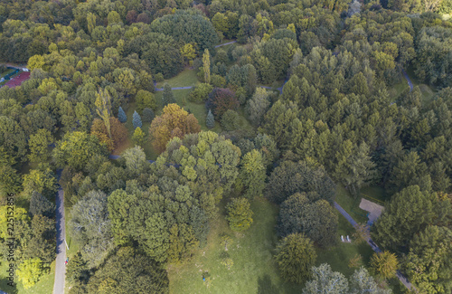 Golden Polish autumn. Autumn colors. Cracow. Poland