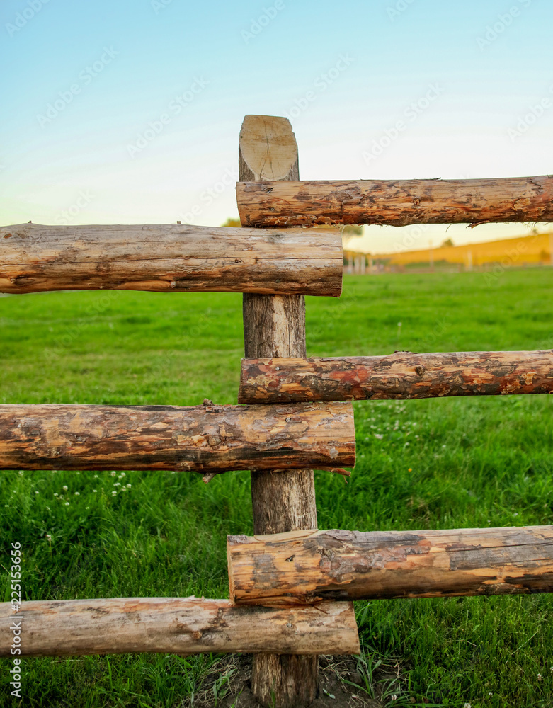 Fence of wooden branches in the garden Fence of wooden branches in the garden