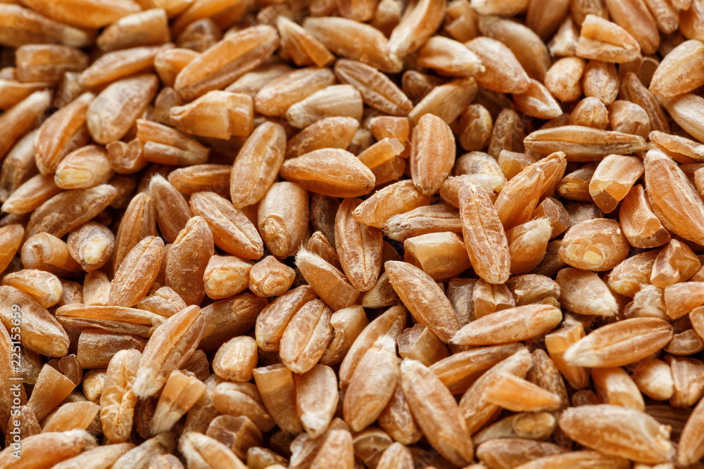 Natural background of a grain of cereal seeds, close-up Natural background of a grain of cereal seeds, close-up