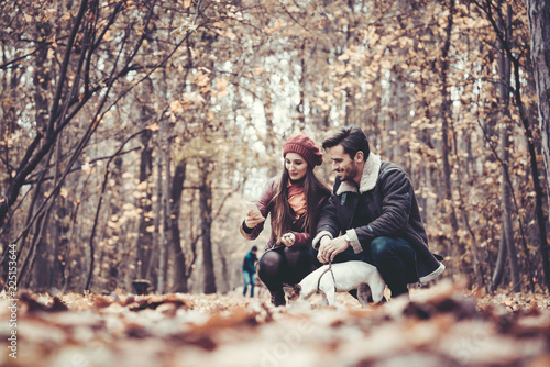 Couple in fall having walk with dog in a park playing with the pet