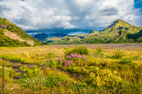 Surprisingly lush subarctic vegetation in the Thorsmork valley in the Highlands of Iceland at southern end of the famous Laugavegur hiking trail.