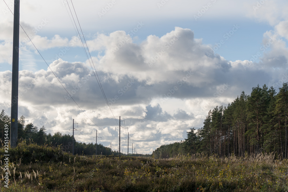 High-voltage power line in a forest against a cloudy sky background