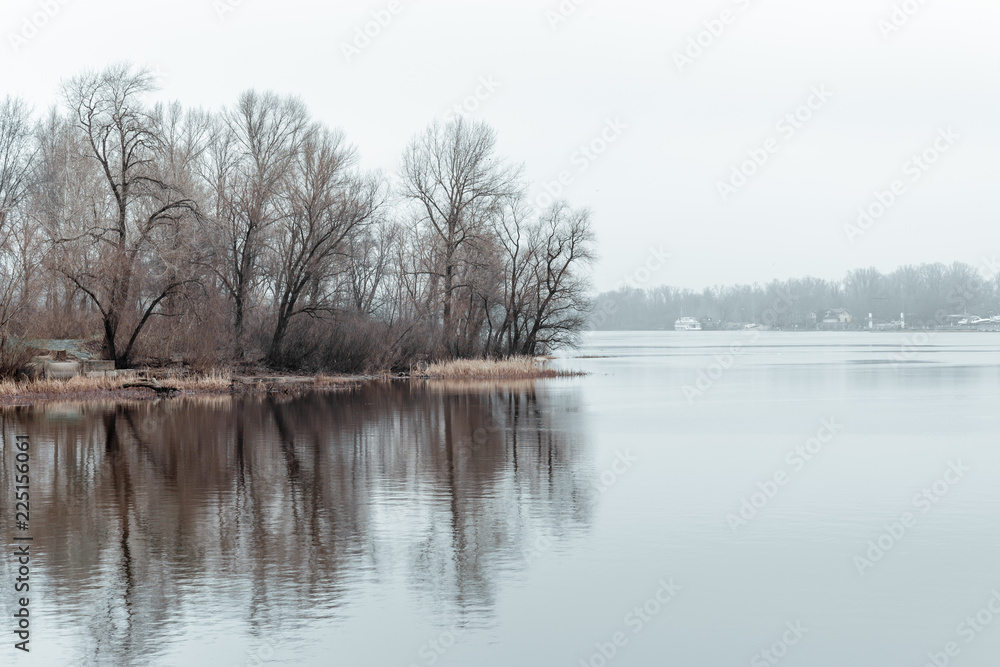 Tree near the Dnieper River in Kiev. Gray winter day in Ukraine Tree near the Dnieper River in Kiev. Gray winter day in Ukraine