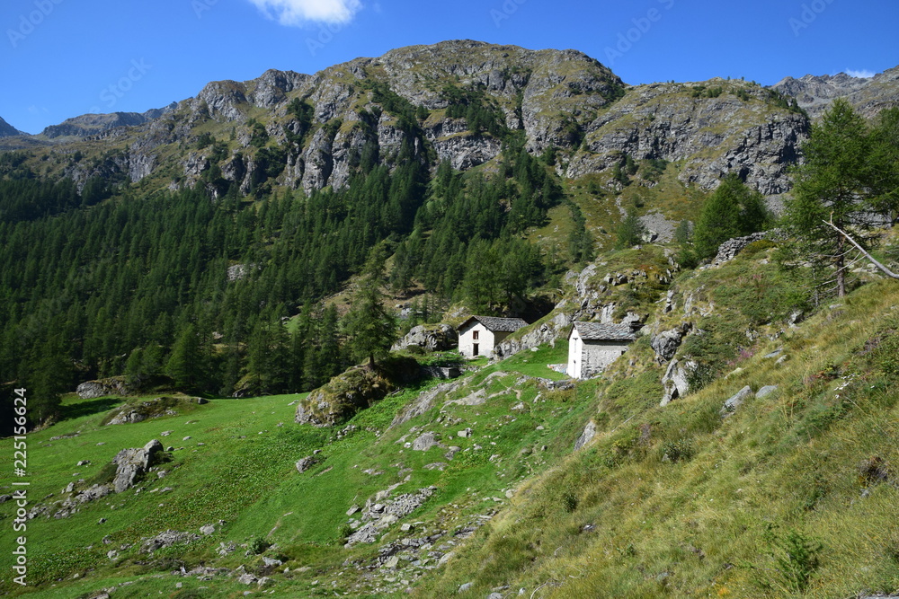 Valle d'Aosta - panorama alta valle di Gressoney