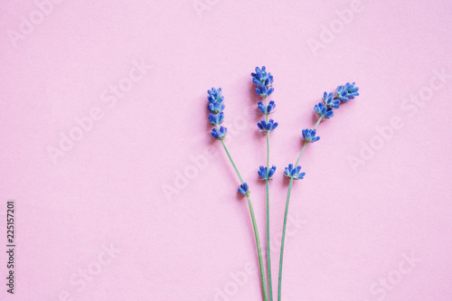 .lavender floral card, minimalist design .