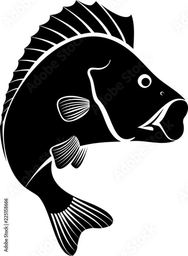 perch fish - monochrome illustration