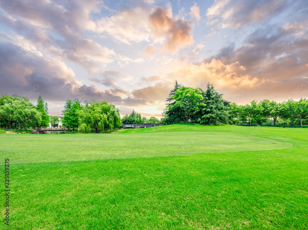 Green lawn and forest with beautiful sky sunset cloud landscape Green lawn and forest with beautiful sky sunset cloud landscape