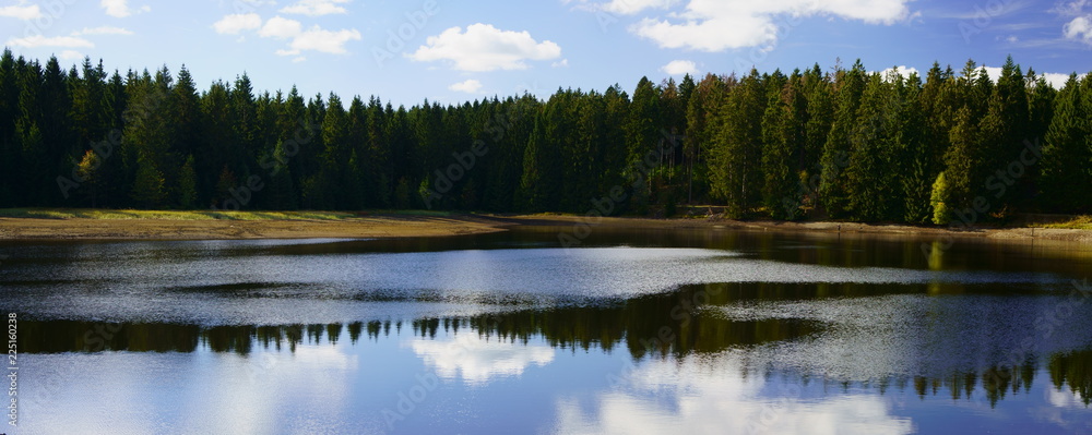 Picturesque reflections of forest trees in a lake. Mining pond near Clausthal-Zellerfeld in Lower Saxony, Harz mountains, Germany. Picturesque reflections of forest trees in a lake. Mining pond near Clausthal-Zellerfeld in Lower Saxony, Harz mountains, Germany.