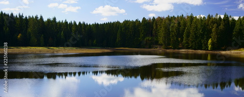 Picturesque reflections of forest trees in a lake. Mining pond near Clausthal-Zellerfeld in Lower Saxony, Harz mountains, Germany.