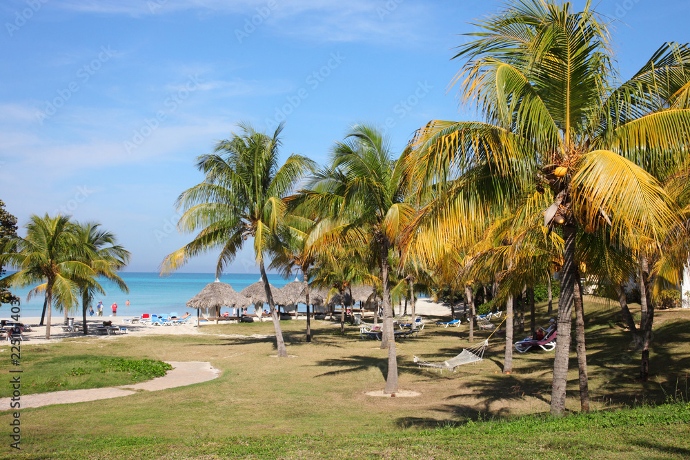 Palms on Tropical beach in sunnyday  on seashore of Atlantic
